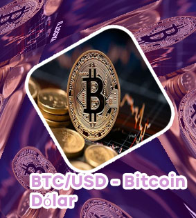 Btc dollar live